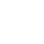Sports Leagues