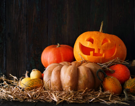 A Copyright Themed Halloween